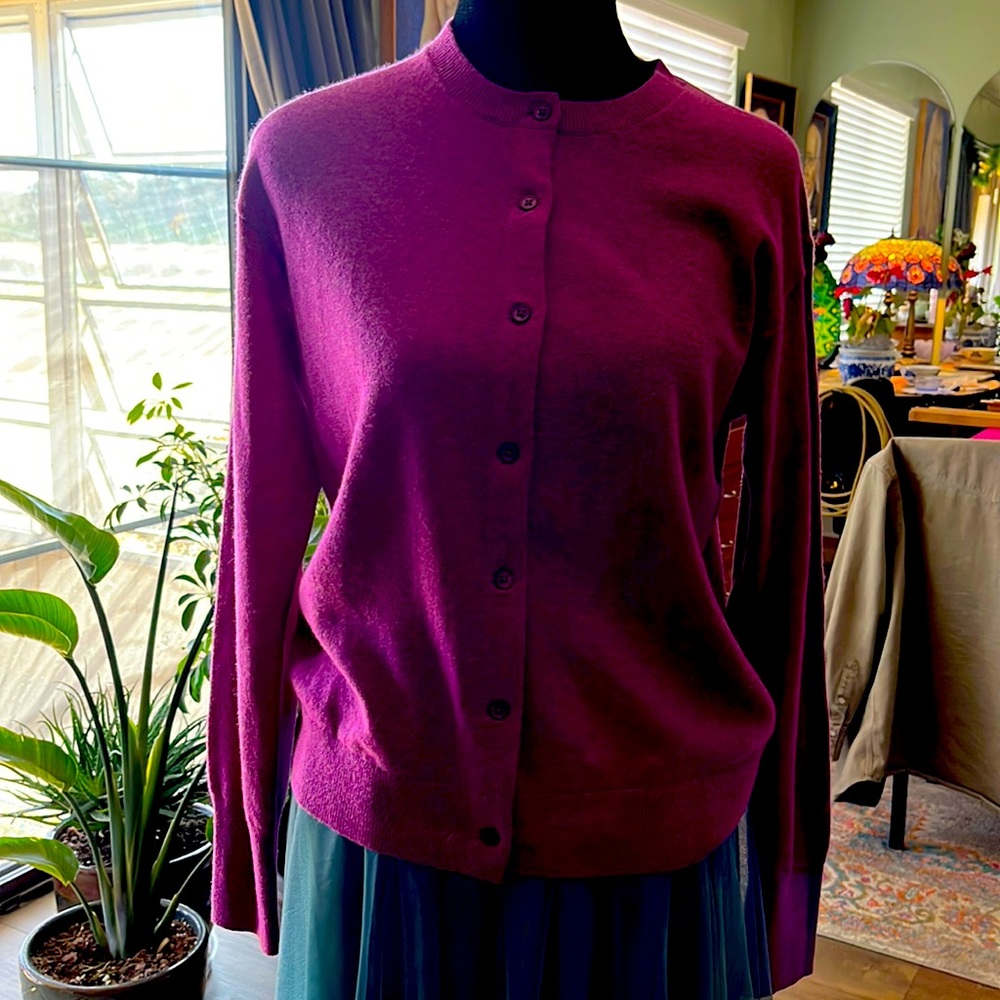 Everlane Button Down Cashmere Sweater L